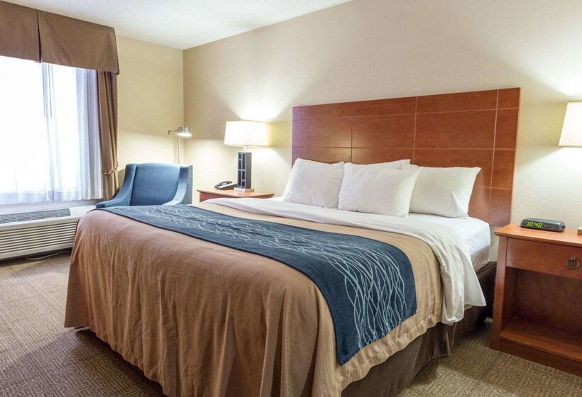 בית מלון כפרי Comfort Inn Civic Center