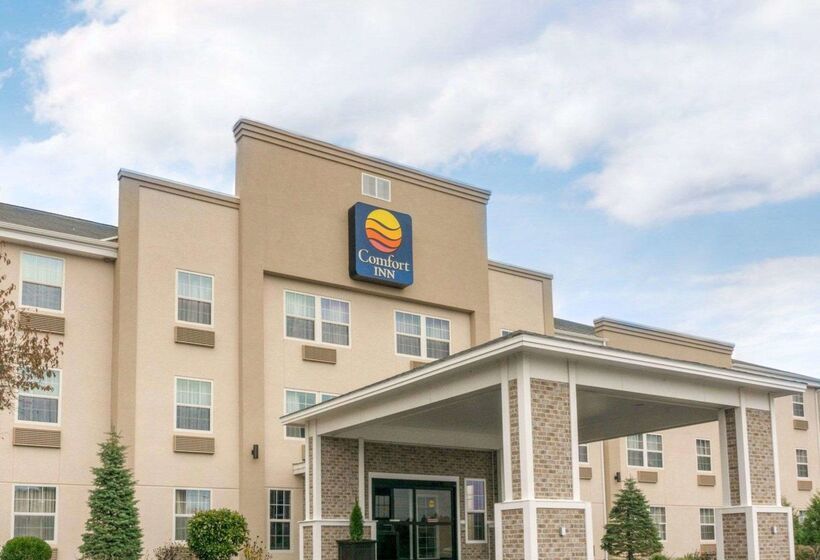 בית מלון כפרי Comfort Inn Civic Center