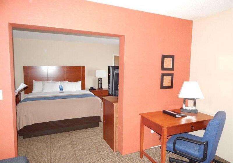 בית מלון כפרי Comfort Inn Civic Center