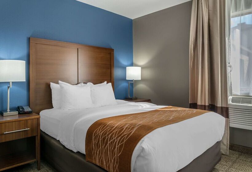 فندق Comfort Inn East