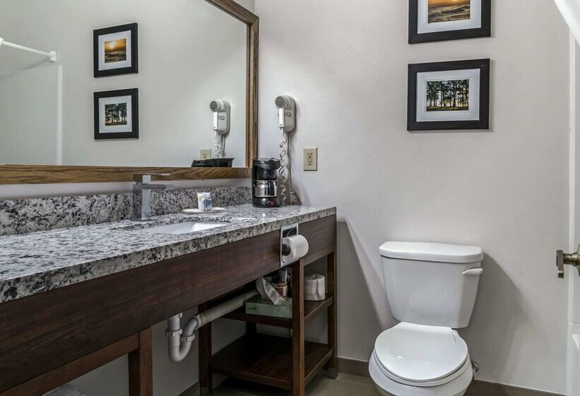 فندق Comfort Inn East