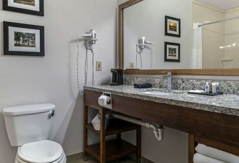 فندق Comfort Inn East