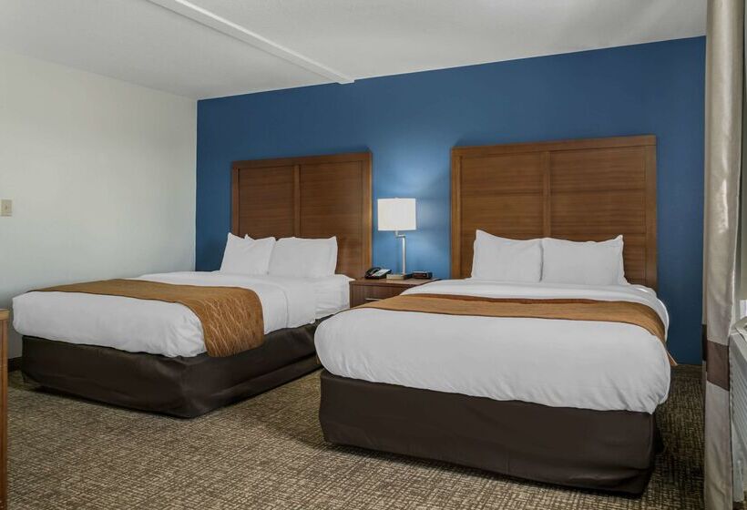 فندق Comfort Inn East