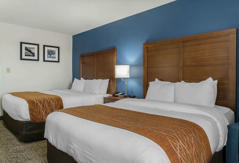 فندق Comfort Inn East