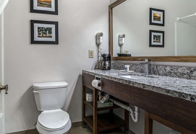 فندق Comfort Inn East