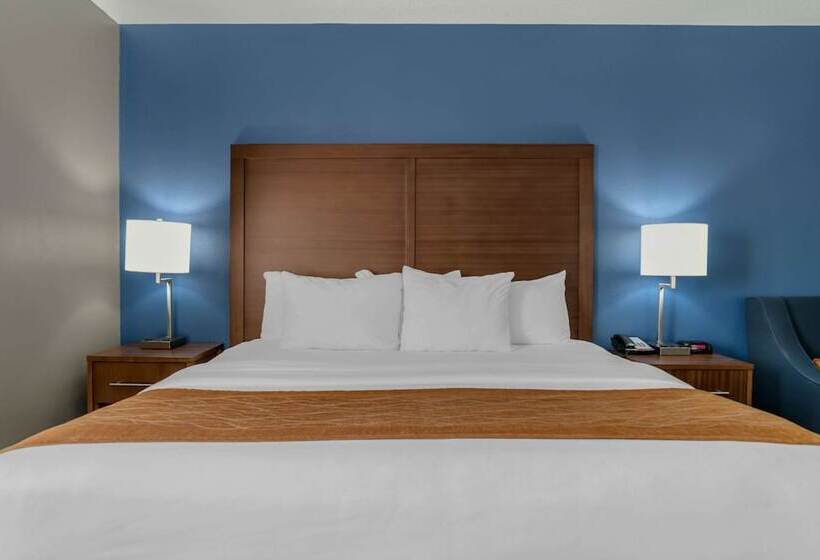 فندق Comfort Inn East