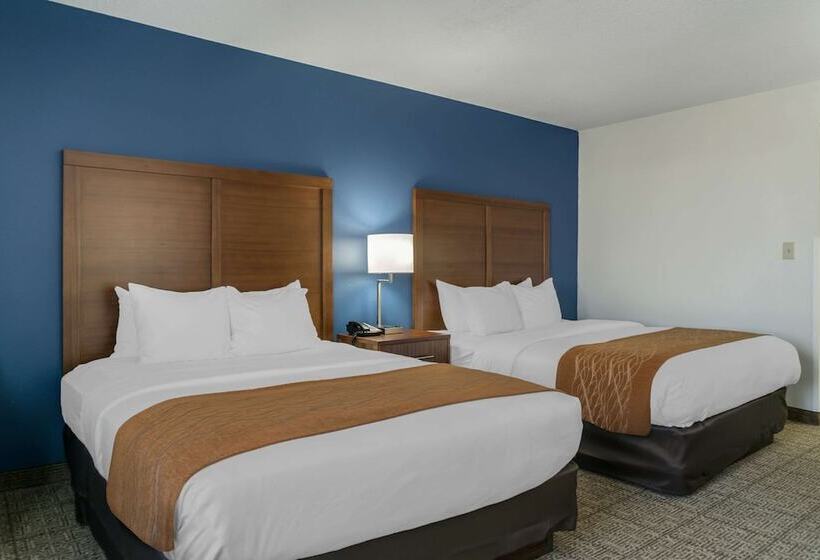 فندق Comfort Inn East