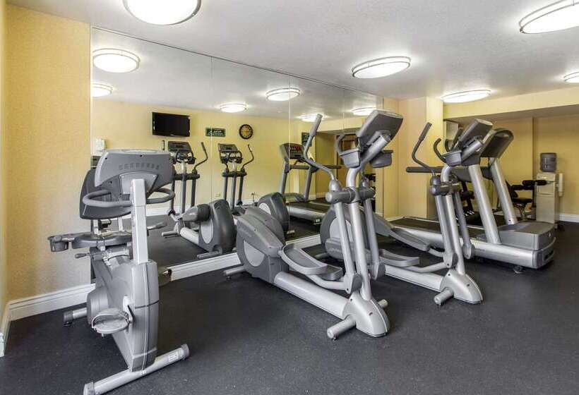 酒店 Comfort Inn Near Vail Beaver Creek