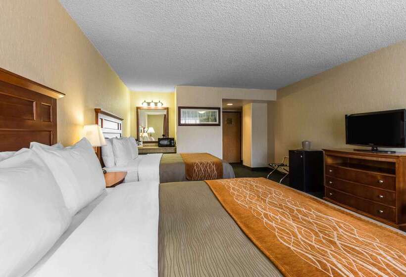 Отель Comfort Inn Near Vail Beaver Creek