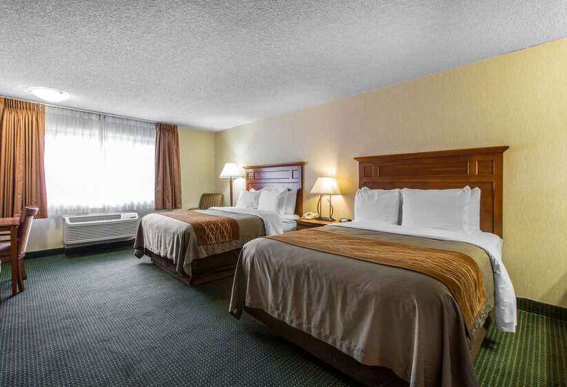 酒店 Comfort Inn Near Vail Beaver Creek