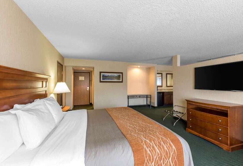 酒店 Comfort Inn Near Vail Beaver Creek