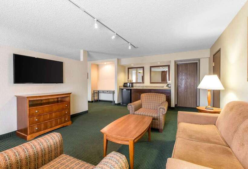 酒店 Comfort Inn Near Vail Beaver Creek