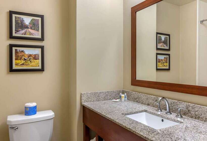 فندق Comfort Inn Petersburg Near Fort Greggadams