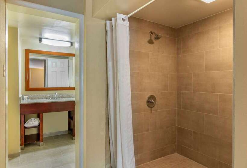 فندق Comfort Inn Petersburg Near Fort Greggadams