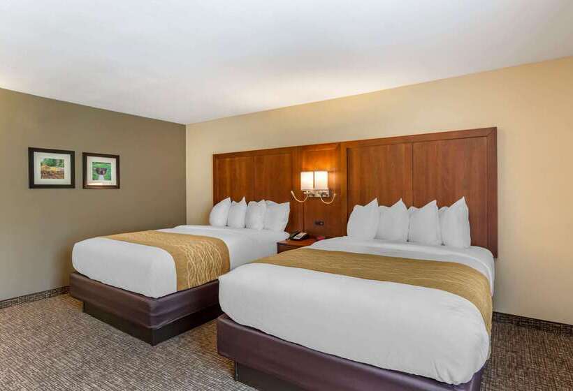 فندق Comfort Inn Petersburg Near Fort Greggadams