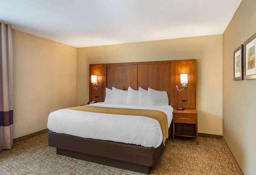 فندق Comfort Inn Petersburg Near Fort Greggadams