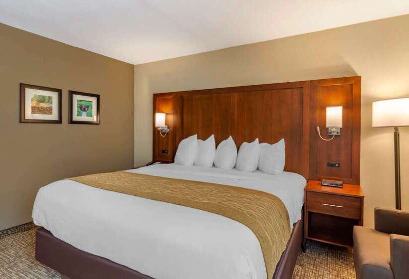 فندق Comfort Inn Petersburg Near Fort Greggadams