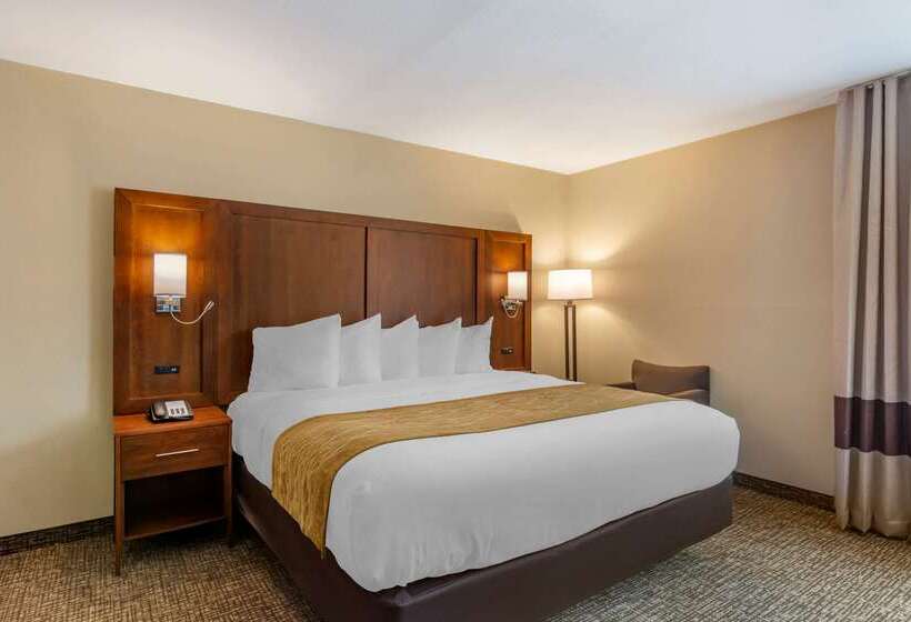 فندق Comfort Inn Petersburg Near Fort Greggadams