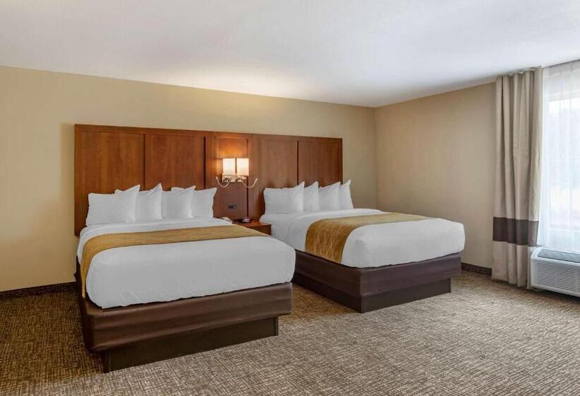 فندق Comfort Inn Petersburg Near Fort Greggadams