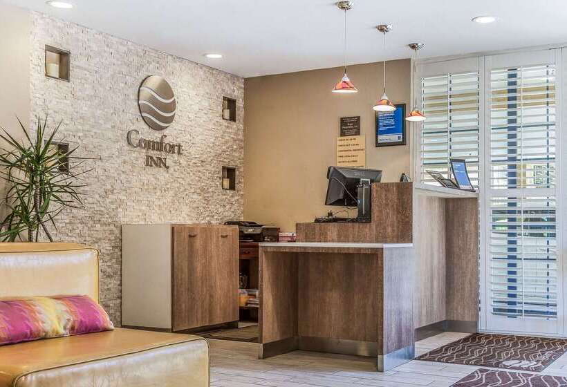 فندق Comfort Inn