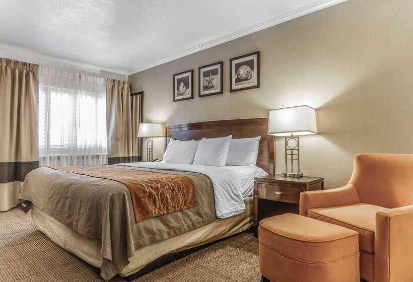 فندق Comfort Inn