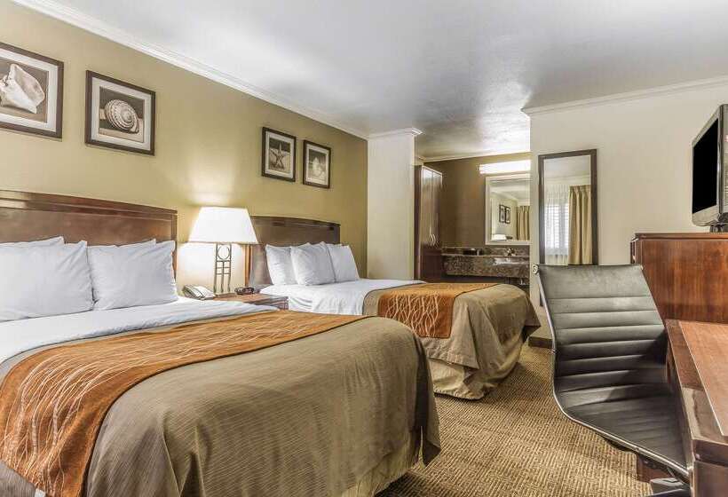 فندق Comfort Inn