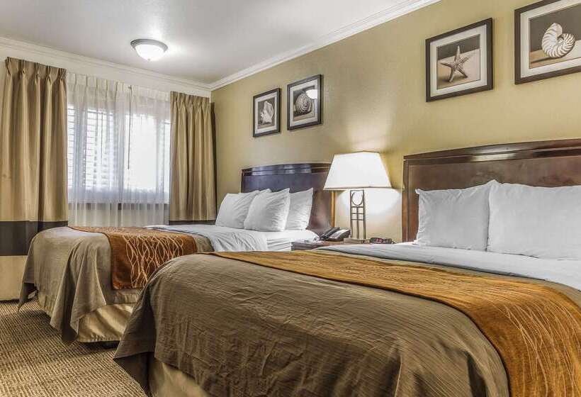 فندق Comfort Inn