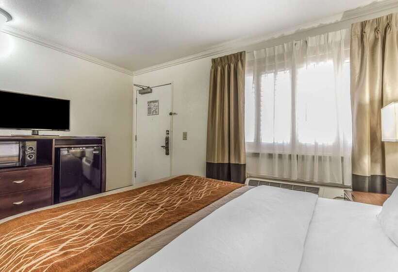 فندق Comfort Inn