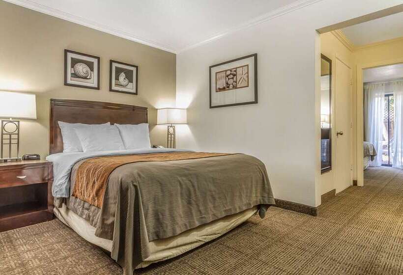 فندق Comfort Inn