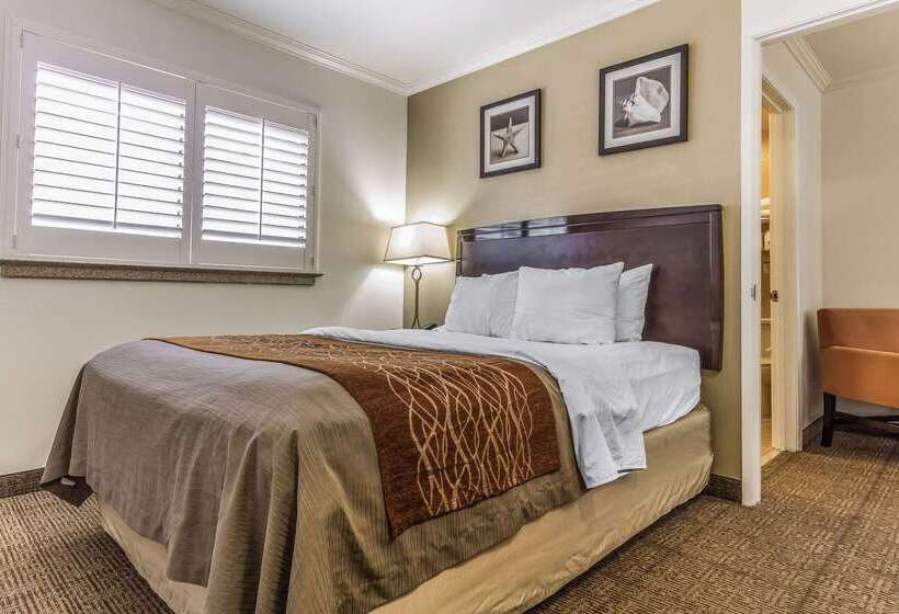 فندق Comfort Inn