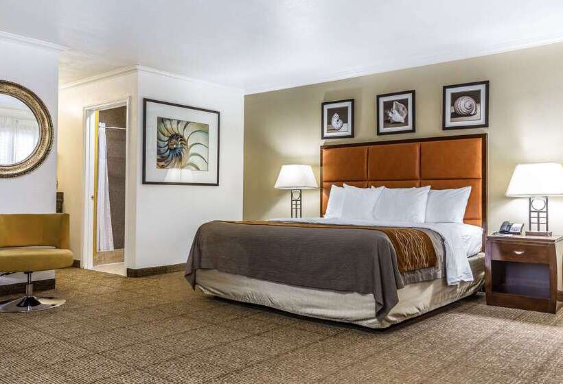 فندق Comfort Inn