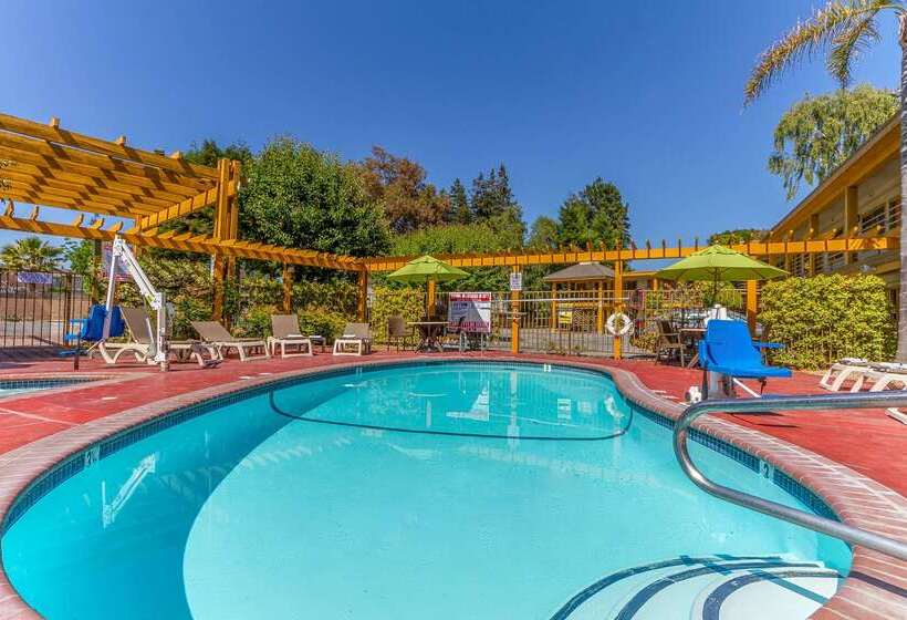 فندق Comfort Inn