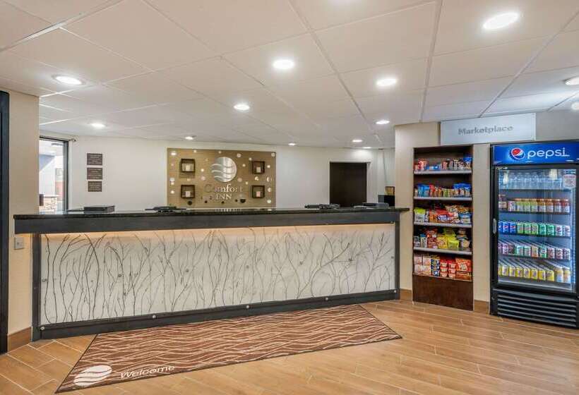 فندق Comfort Inn South