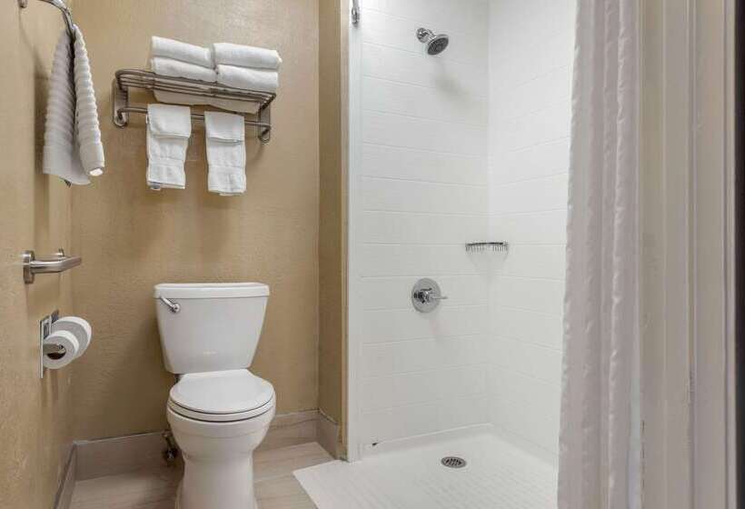 فندق Comfort Inn South