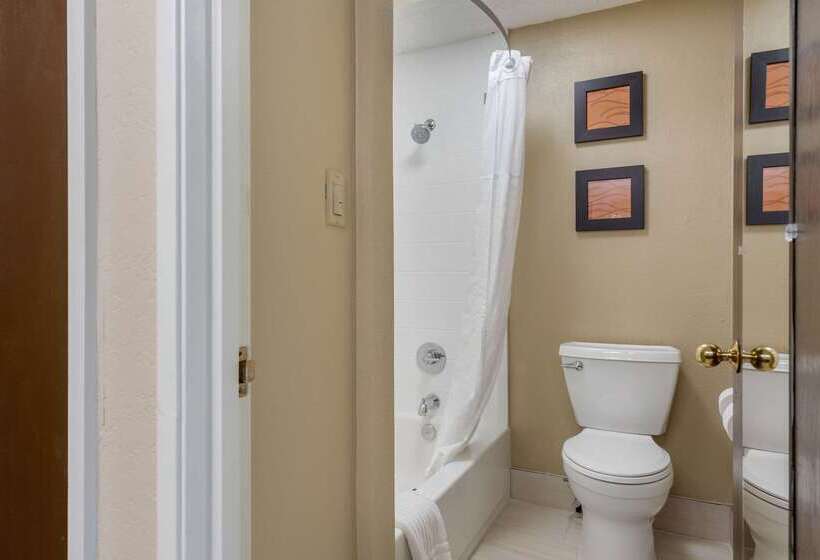 בית מלון כפרי Comfort Inn South