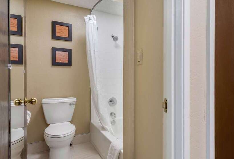 בית מלון כפרי Comfort Inn South