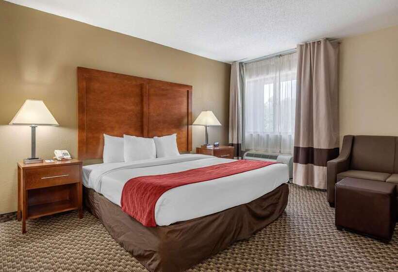 בית מלון כפרי Comfort Inn South
