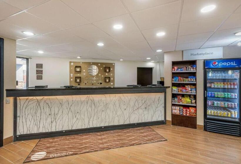 בית מלון כפרי Comfort Inn South