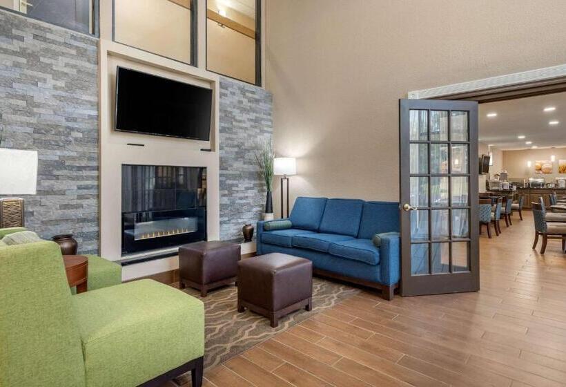 فندق Comfort Inn South