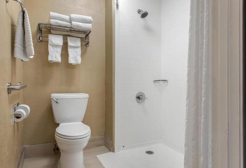 فندق Comfort Inn South