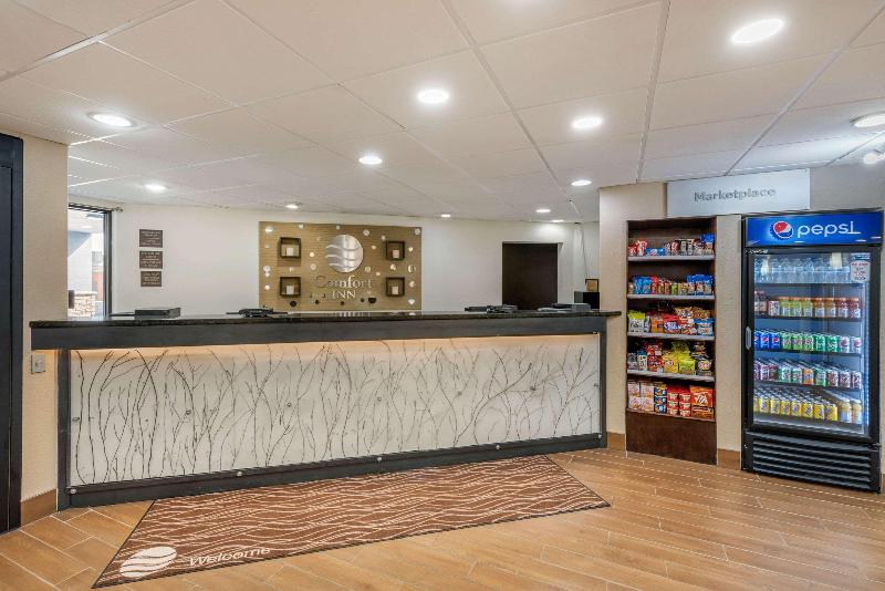 فندق Comfort Inn South