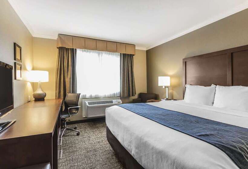 فندق Comfort Inn Sunnyvale  Silicon Valley