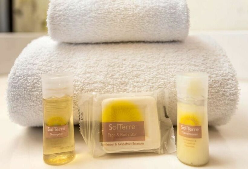 酒店 Days Inn By Wyndham Airport  Phoenix