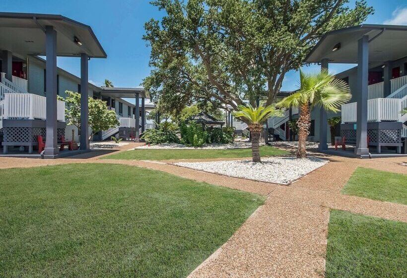 ホテル Econo Lodge Inn & Suites Fulton  Rockport