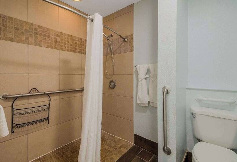 ホテル Econo Lodge Inn & Suites Fulton  Rockport