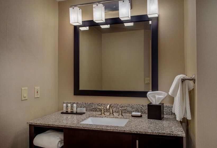 فندق Embassy Suites By Hilton St. Louis Airport