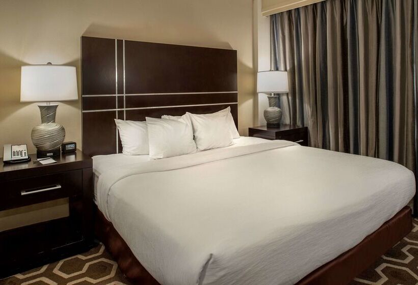 هتل Embassy Suites By Hilton St. Louis Airport