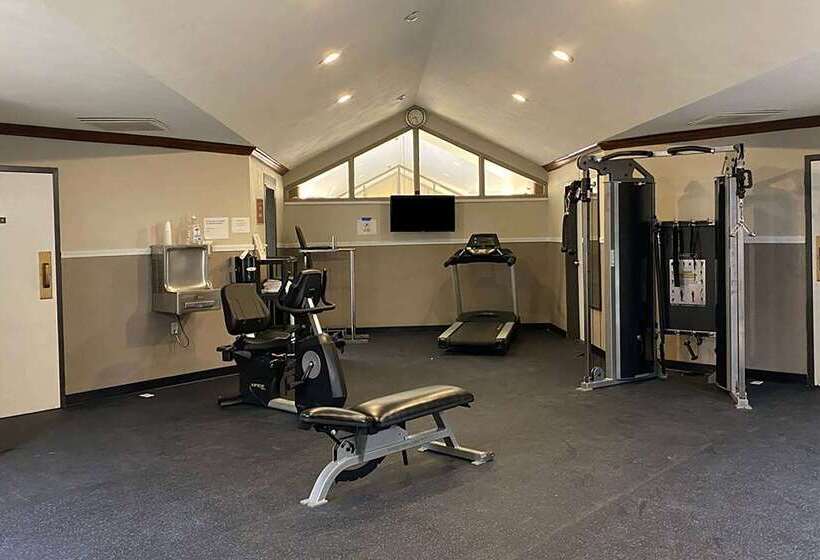 فندق Baymont Inn And Suites By Wyndham Farmington, Mo