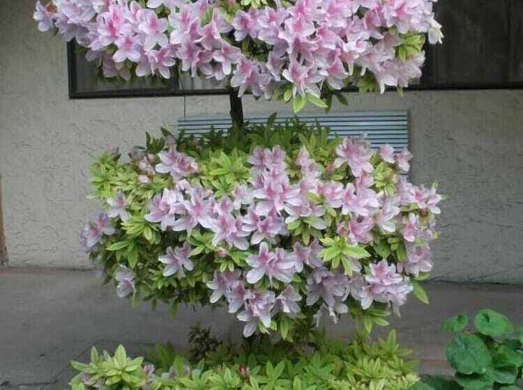 호텔 Garden Inn And Suites Glendora