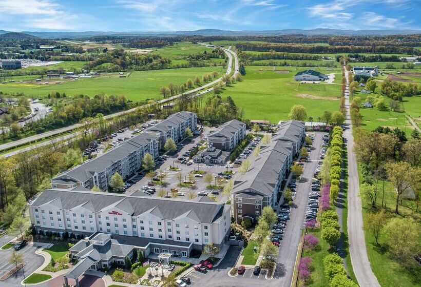 בית מלון כפרי Hilton Garden Inn Blacksburg University